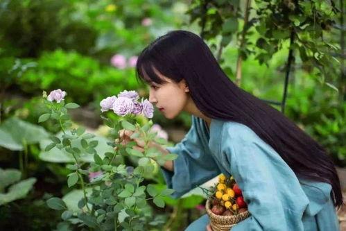 李子柒最新视频爆料,田园生活新篇章